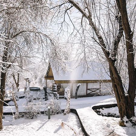 Luxury Vineyard Resort Chateau Ramsak Máribor Exterior foto