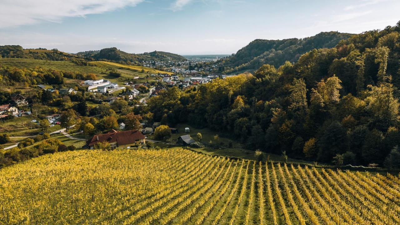 Luxury Vineyard Resort Chateau Ramsak Máribor Exterior foto